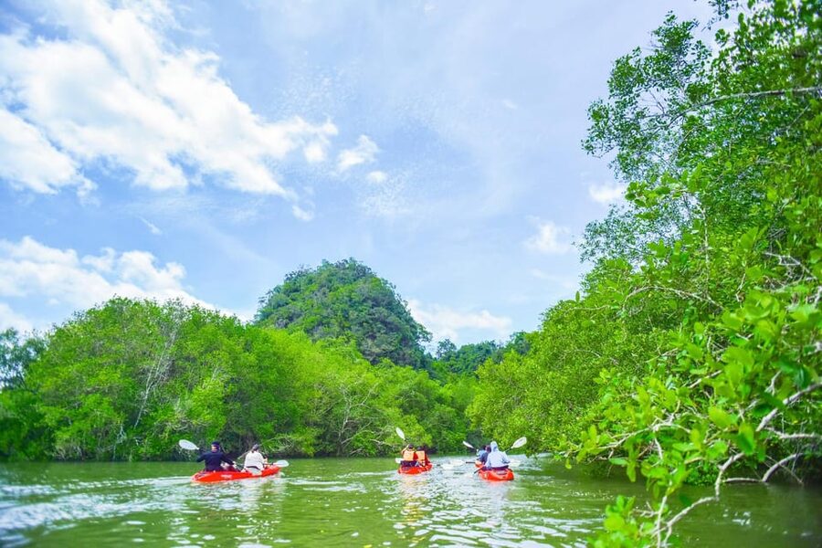 Krabi: Half-Day Bor Thor Mangrove Kayaking Tour - Is $53 a fair price?