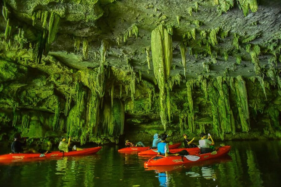 Krabi: Half-Day Bor Thor Mangrove Kayaking Tour - Who will enjoy this half-day outing?