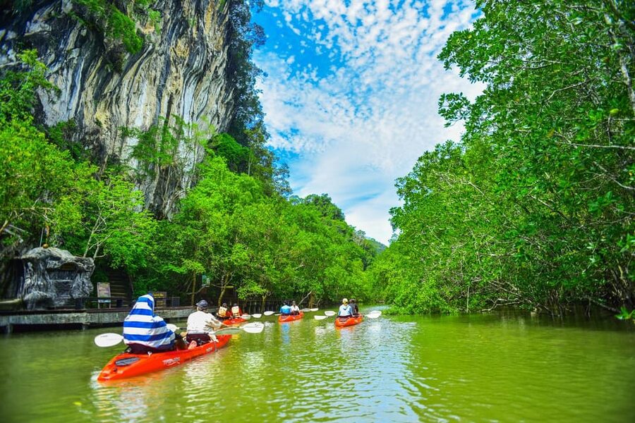 Krabi: Half-Day Bor Thor Mangrove Kayaking Tour - The morning begins with a one-hour transfer