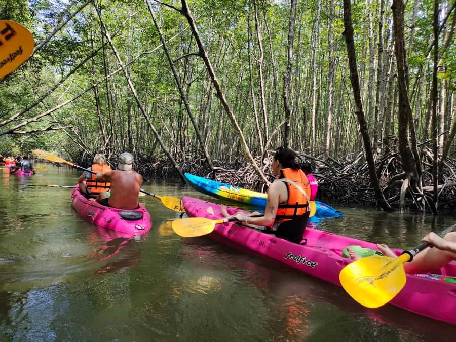 Krabi: Half-Day Kayak Adventure at Ao Thalane - Why Ao Thalane Is Worth Leaving Ao Nang For