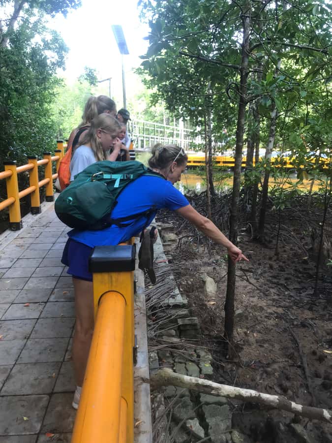 Krabi: Half-Day Mangrove Boat Trip And Khao Khanap Nam Cave - Monkeys and the small surprises along the water