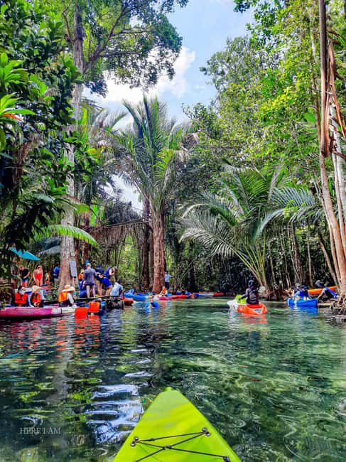 Krabi: Hidden Mirror Lake Kayak, Swim & Easy Nature Activity - Key points to know before you book