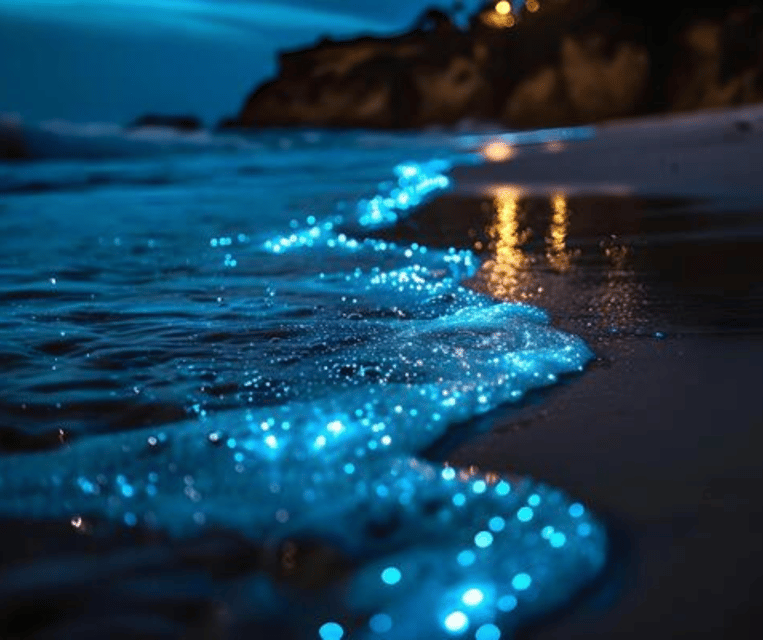Krabi: Hong Islands Sunset, Bioluminescent Plankton and BBQ - Practical comfort and safety notes