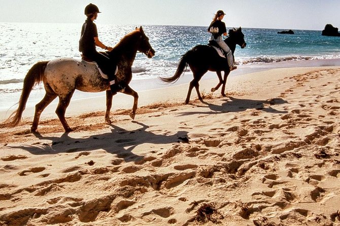 Krabi Horse Riding at Ao Nam Mao Beach - Key points to know before booking