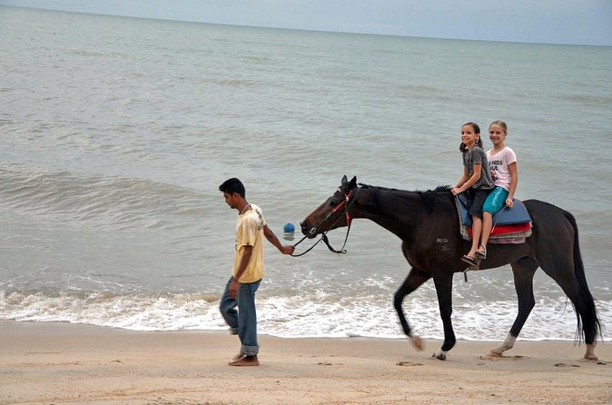 Krabi Horse Riding at Ao Nam Mao Beach - Leaving the beach for Krabi’s countryside