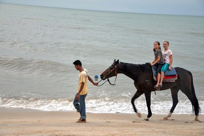 Krabi Horse Riding at Ao Nam Mao Beach - What the ride does well