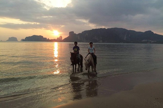 Krabi Horse Riding at Ao Nam Mao Beach - The main drawbacks to weigh