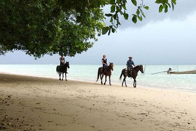 Krabi Horse Riding at The Beach - Riding from countryside paths to Ao Nam Mao Beach