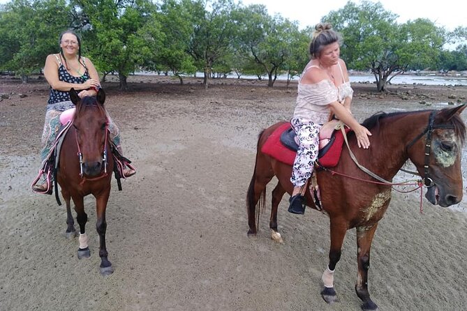 Krabi Horse Riding at The Beach - The optional one-hour swim with your horse
