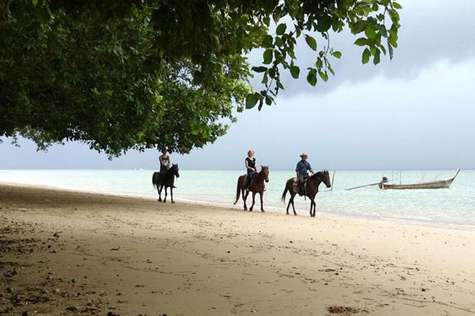 Krabi Horse Riding at The Beach - Pickup from Ao Nang and Ao Nammao