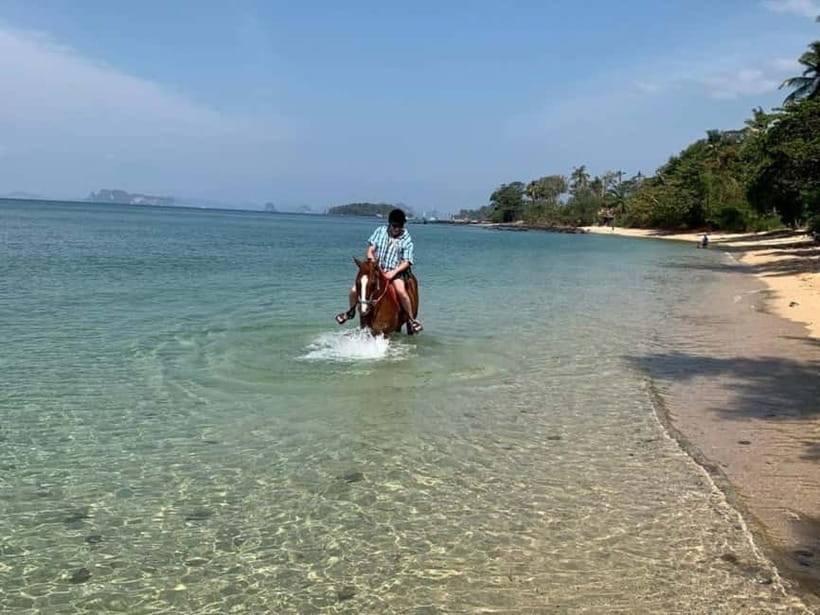 Krabi: Horse Riding On Klong Muang Beach - Key points to know before you book