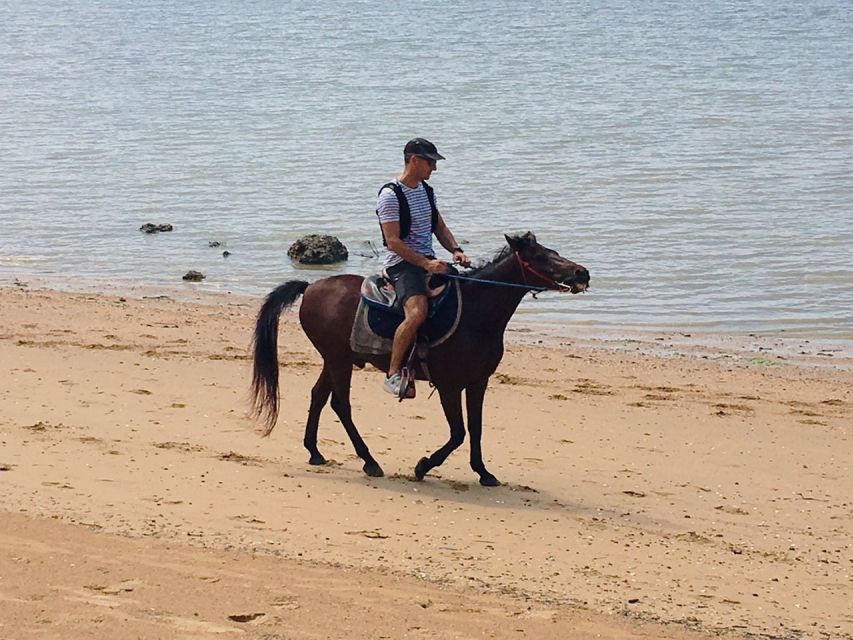 Krabi: Horseback Riding on the Beach - Choosing one hour, two hours, or sunset