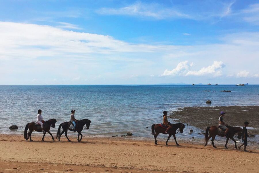 Krabi: Horseback Riding on the Beach - Should you book it?