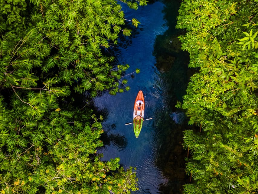 Krabi: Kayak Adventure through Ao Thalane Mangrove Forest - Who should book this kayak trip?
