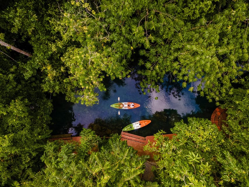 Krabi: Kayak Adventure through Ao Thalane Mangrove Forest - Limestone canyons, lagoons, and Crocodile Cave