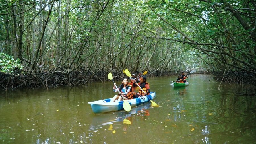 Krabi: Kayak in Mangrove Forest with Meal Aonang - A peaceful side of Krabi near Ao Nam Mao