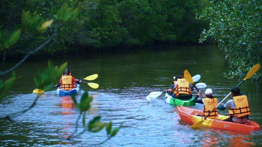 Krabi: Kayak in Mangrove Forest with Meal Aonang - Getting set for a 90-minute paddle