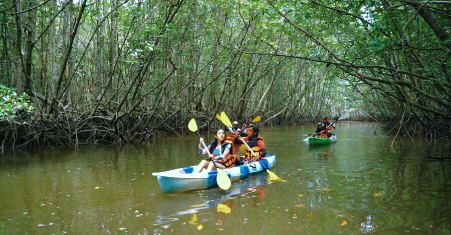 Krabi: Kayak in Mangrove Forest with Meal Aonang - Who should book this kayak outing?