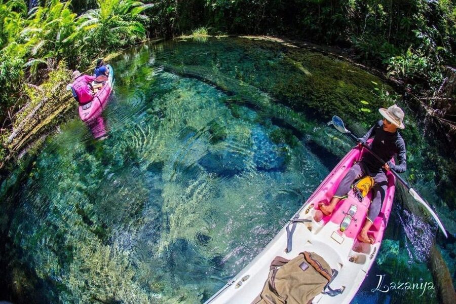 Krabi kayaking and swimming clongrood Tour - What the $26 Price Really Covers