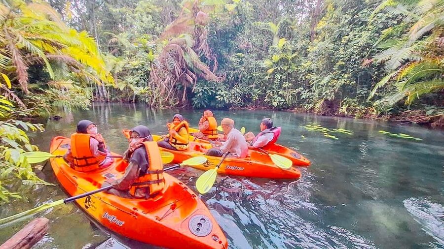 Krabi kayaking and swimming clongrood Tour - Paddling Through the Clear Canal