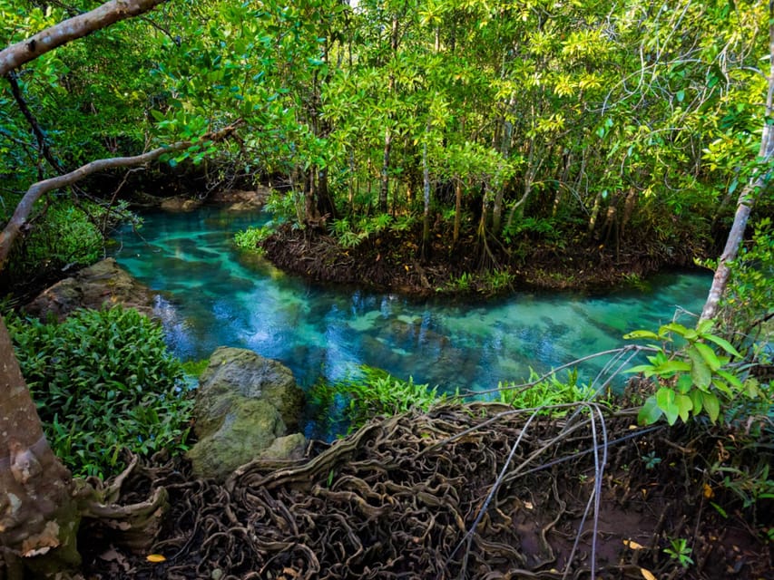 Krabi: Kayaking, Crystal Lagoon, and Fish Spa in Klong Root - Choosing the sunset departure