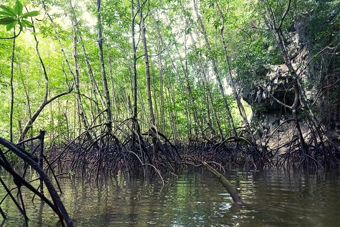 Krabi: Kayaking Tour at Ban Bor Thor Ancient Cave & Mangroves - Paddling through mangroves and inlets