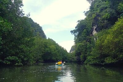 Kayaking Tour at Ban Bor Thor Ancient Cave & Mangroves