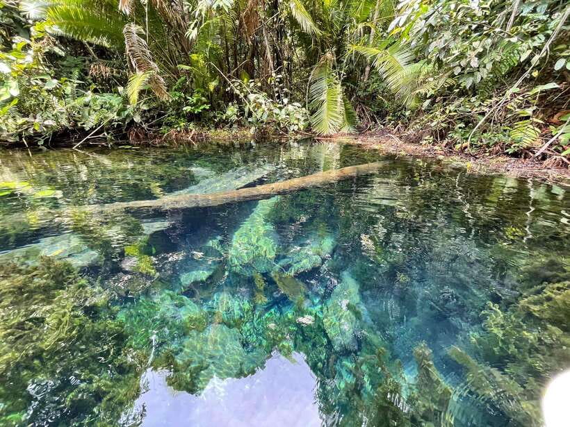 Krabi: Klong Root (Crystal lake) Kayaking tour - Key points at a glance