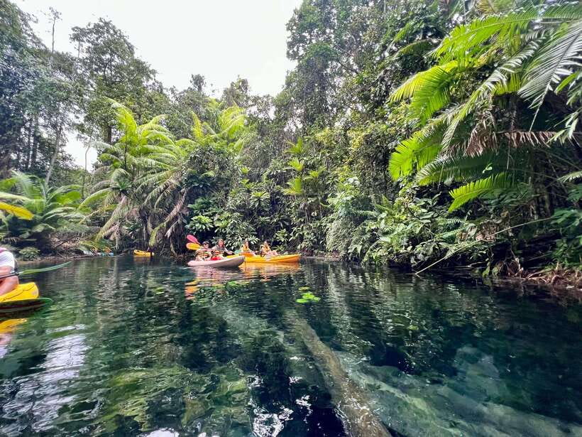 Krabi: Klong Root (Crystal lake) Kayaking tour - Getting into the kayak at the community forest