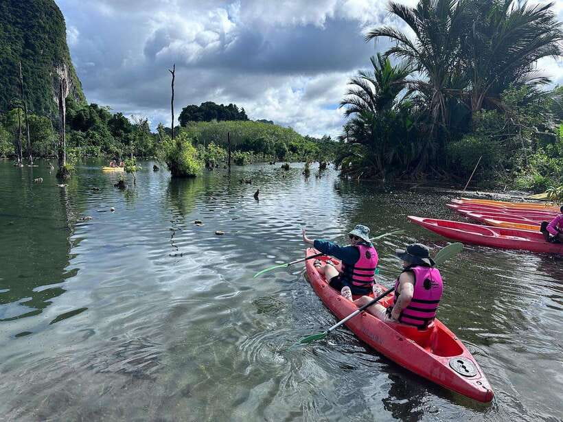 Krabi: Klong Root (Crystal lake) Kayaking tour - Fruit, drinks, and the pineapple plantation