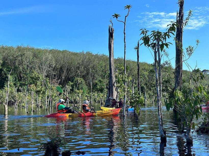 Krabi: Klong Root (Crystal lake) Kayaking tour - Hotel pickup and the trip to Klong Root