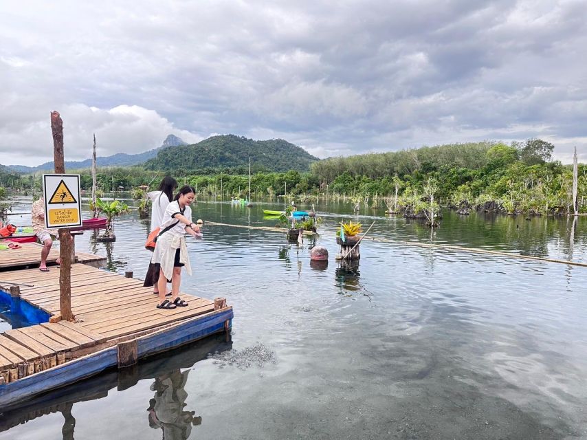 Krabi: Klong Root Kayaking Viewpoint,Fish Feeding and more - The strongest part: clear water and mangrove scenery