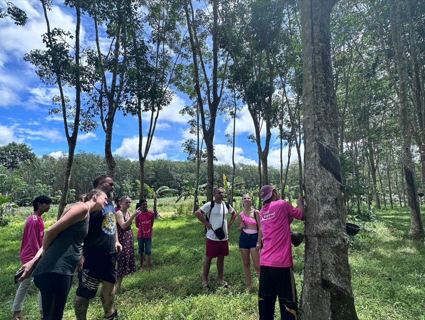 Krabi: Klong Root Kayaking Viewpoint,Fish Feeding and more - What the three-hour core program includes