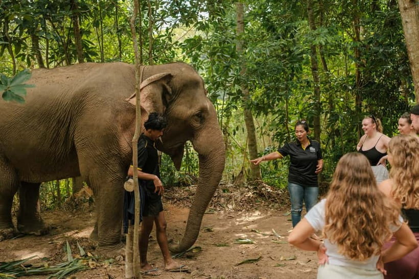 Krabi: Love Elephant Sanctuary Tour - Key points to know before booking