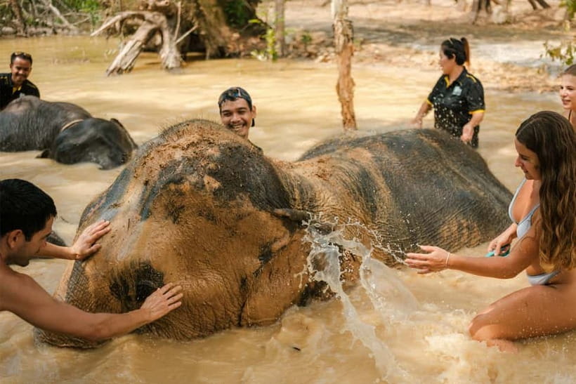 Krabi: Love Elephant Sanctuary Tour - A hands-on visit with a clear welfare focus