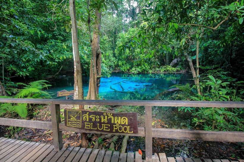 Krabi Outback Explorer to Emerald Pool & Wareerak Hotspring - What the $50 price really covers