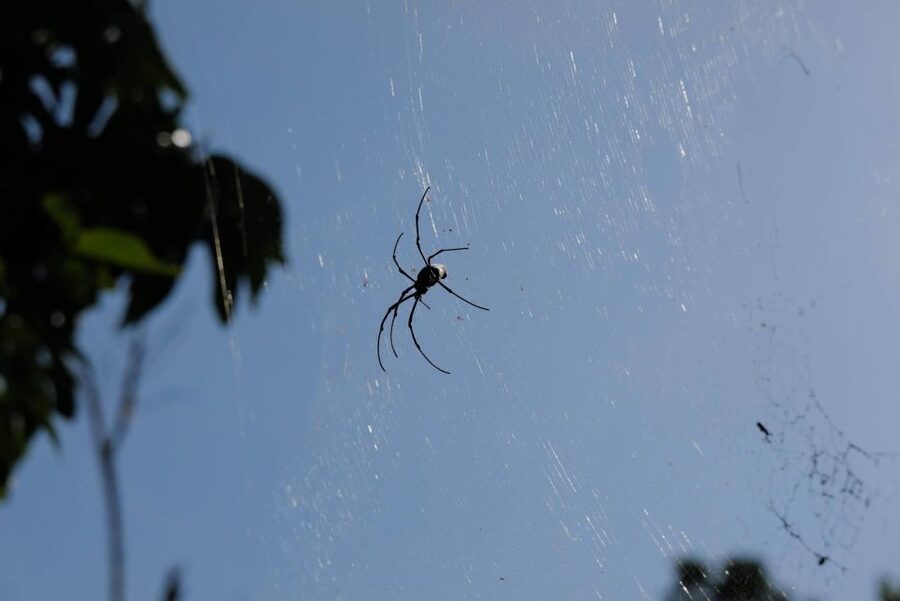 Krabi Outback Explorer with Visit of Tiger Cave Temple - The Blue Pool walk adds a second shade of blue
