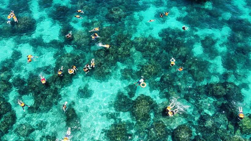 Krabi: Phi Phi and 4 Islands with Snorkeling by Speed Boat - Monkey Beach from the boat