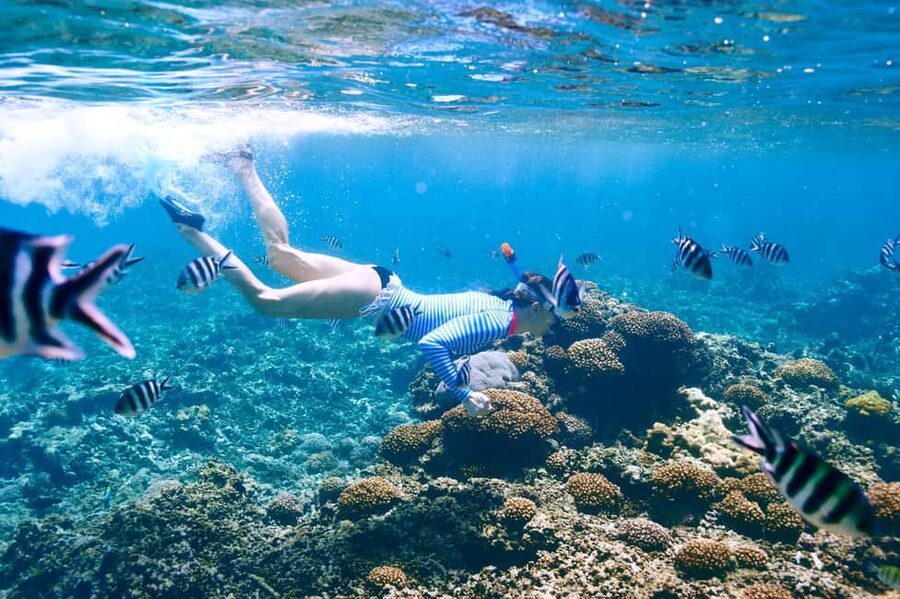 Krabi: Premium Phi Phi Islands Day Trip with Lunch & Snorkel - Viking Cave is a boat-side sight