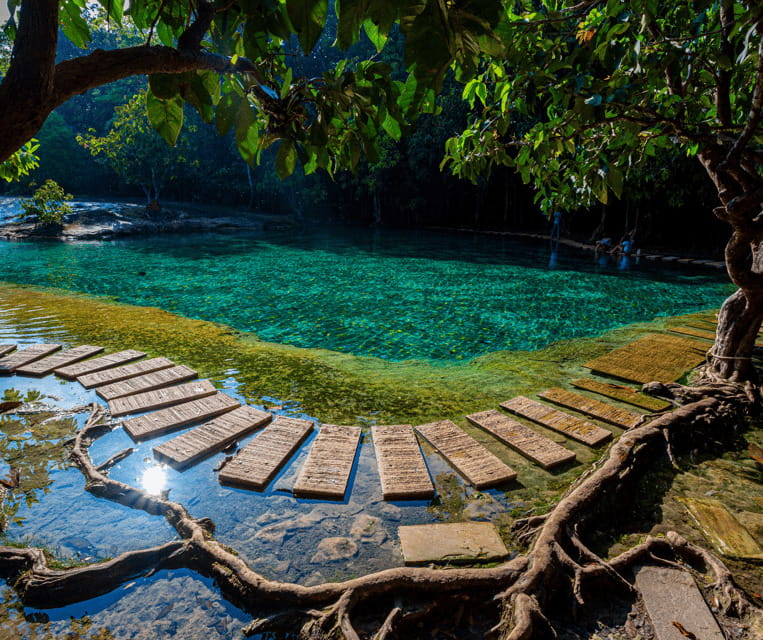 Krabi: Rainforest Jungle Tour with Emerald Pool & Hot Spring - Key things to know before booking