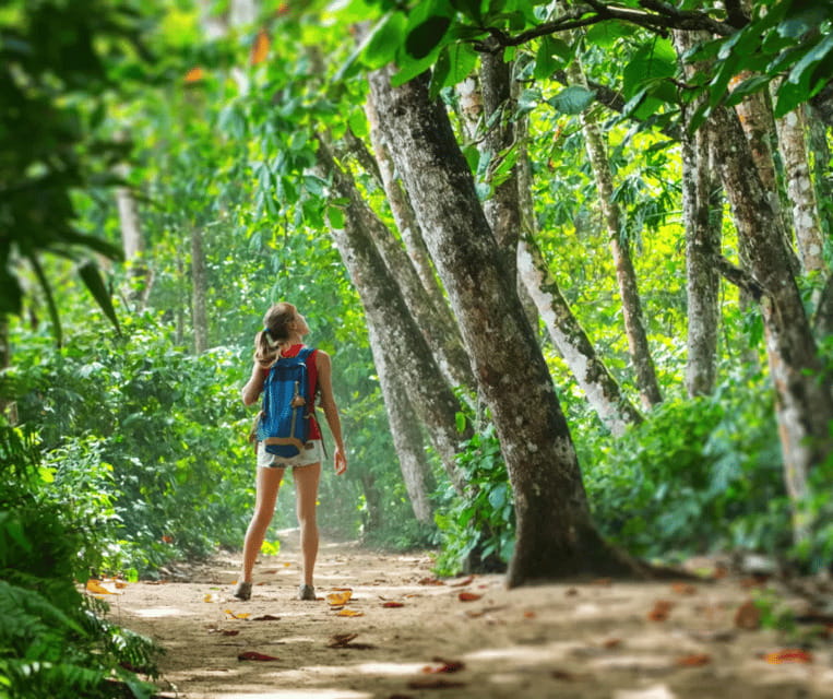 Krabi: Rainforest Jungle Tour with Emerald Pool & Hot Spring - Tiger Cave Temple: the full-day finish