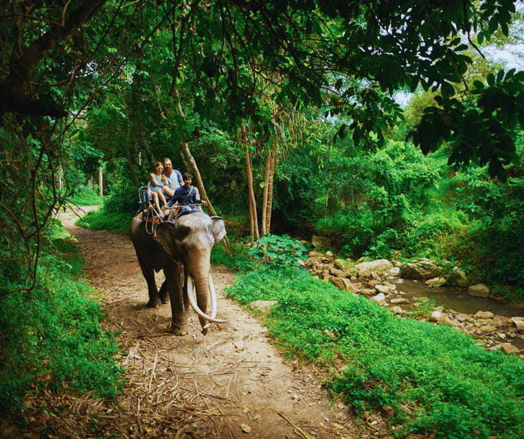 Krabi: Rainforest Jungle Tour with Emerald Pool & Hot Spring - What the $48 price really covers