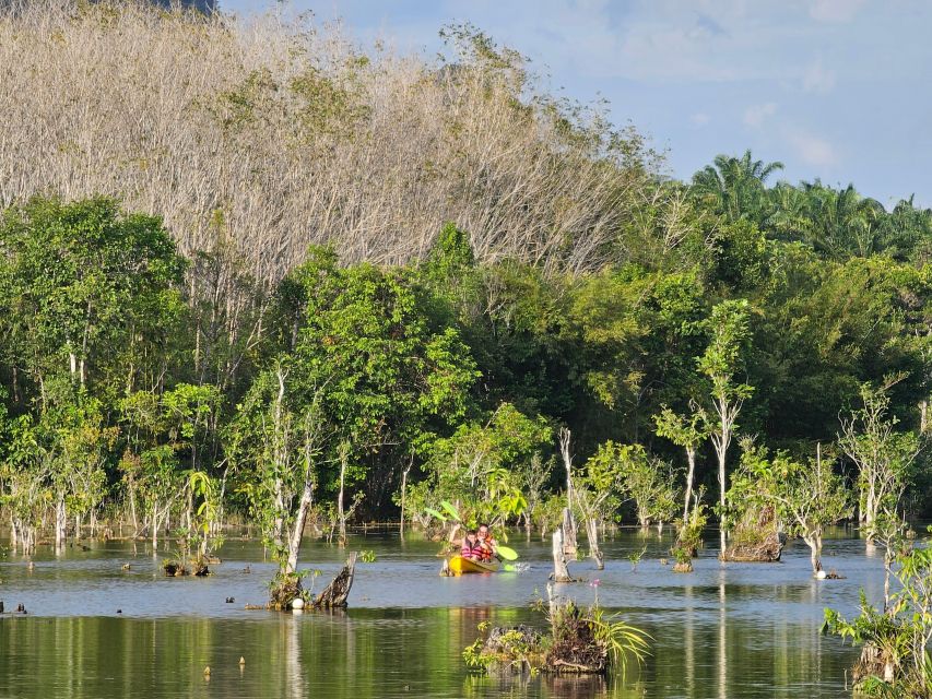 Krabi: South Kayak Klong Root Kayaking Tour - Should you book Klong Root?