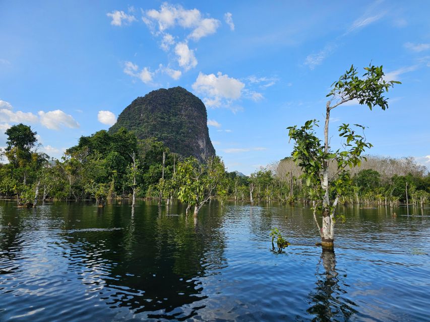 Krabi: South Kayak Klong Root Kayaking Tour - Transfers from Ao Nang, Ao Nammao, and Krabi