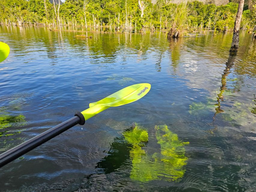 Krabi: South Kayak Klong Root Kayaking Tour - Who should choose this kayak tour