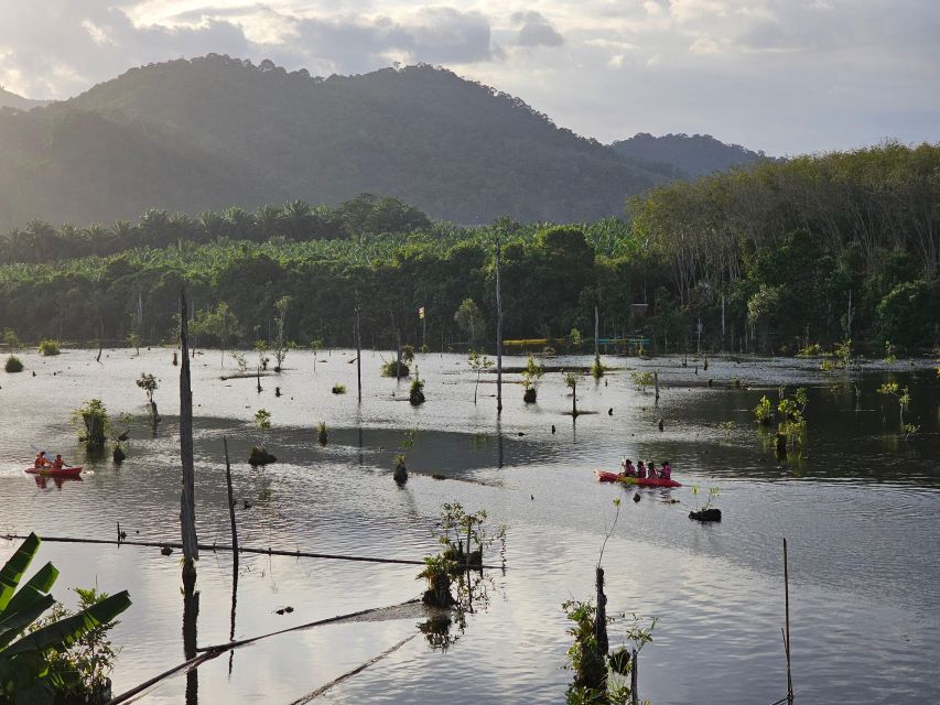 Krabi: South Kayak Klong Root Kayaking Tour - What to bring and how to plan the day