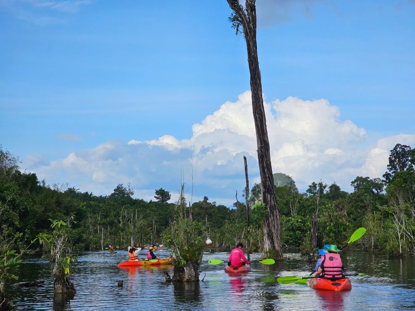 Krabi: South Kayak Klong Root Kayaking Tour - Why the mangrove setting is worth your time