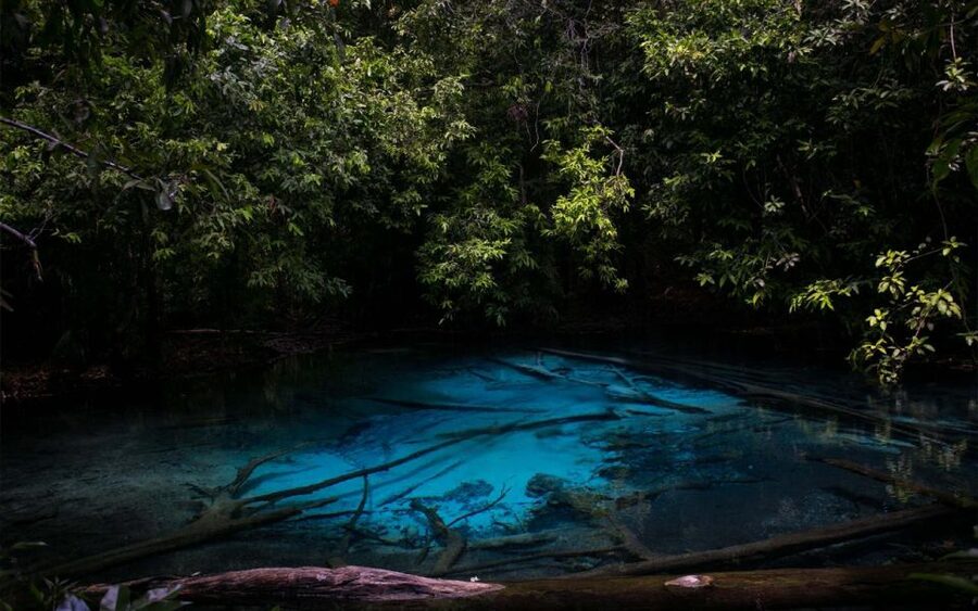 Krabi: Tiger Cave, Hot Springs and Emerald Pool Jungle Tour - Thung Teao Forest and the walk to Emerald Pool