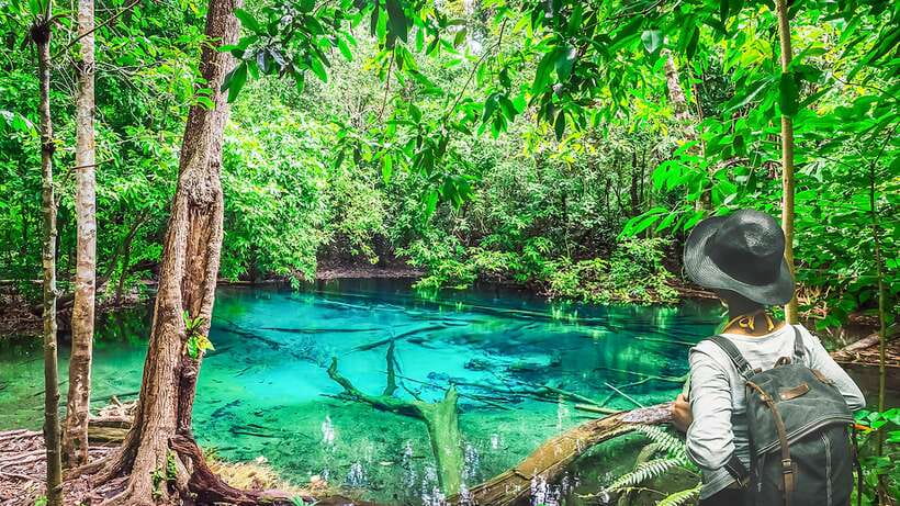 Krabi: Tiger Cave Temple, Emerald Pool and Hot Springs Tour - A full day beyond Krabi’s beaches
