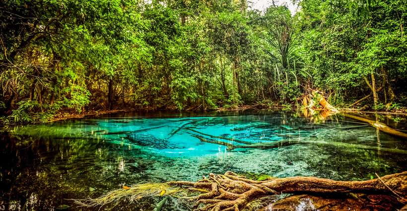 Krabi: Tiger Cave Temple, Emerald Pool and Hot Springs Tour - Lunch: simple, local, and usually optional
